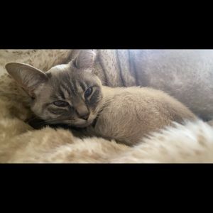 Meet your Posher, Stacy